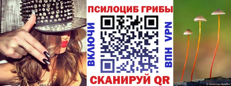 KRAKEN онион  закладка  Нея  Галлюциногенные грибы Cubensis 