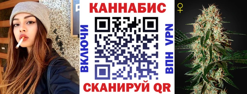 Конопля сатива  Нея 